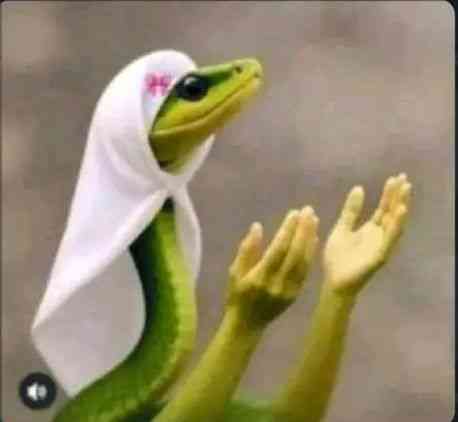 Your grandmother in church after bewitching the whole society | MirrorLog